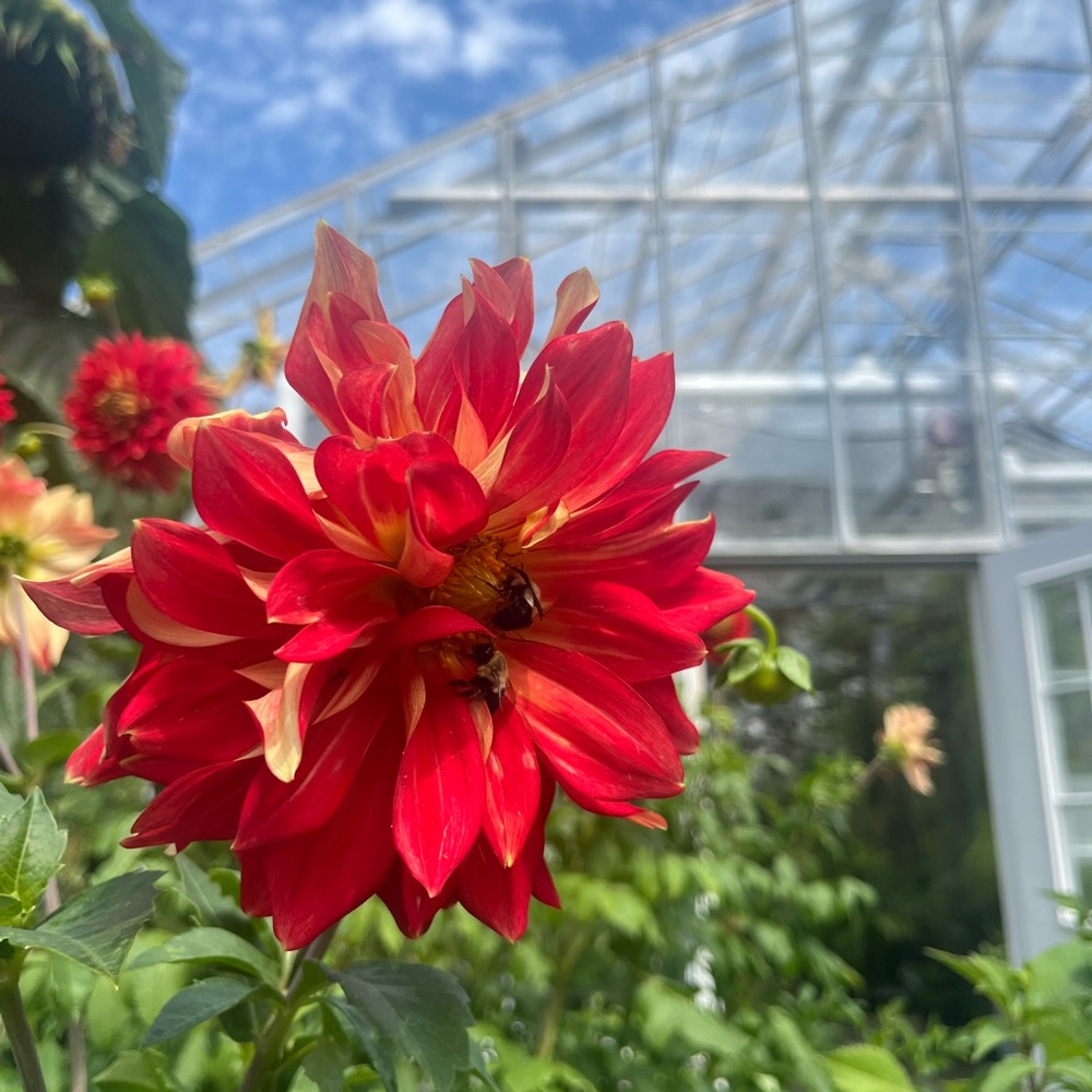 Meet your Posher, Hatice kubra